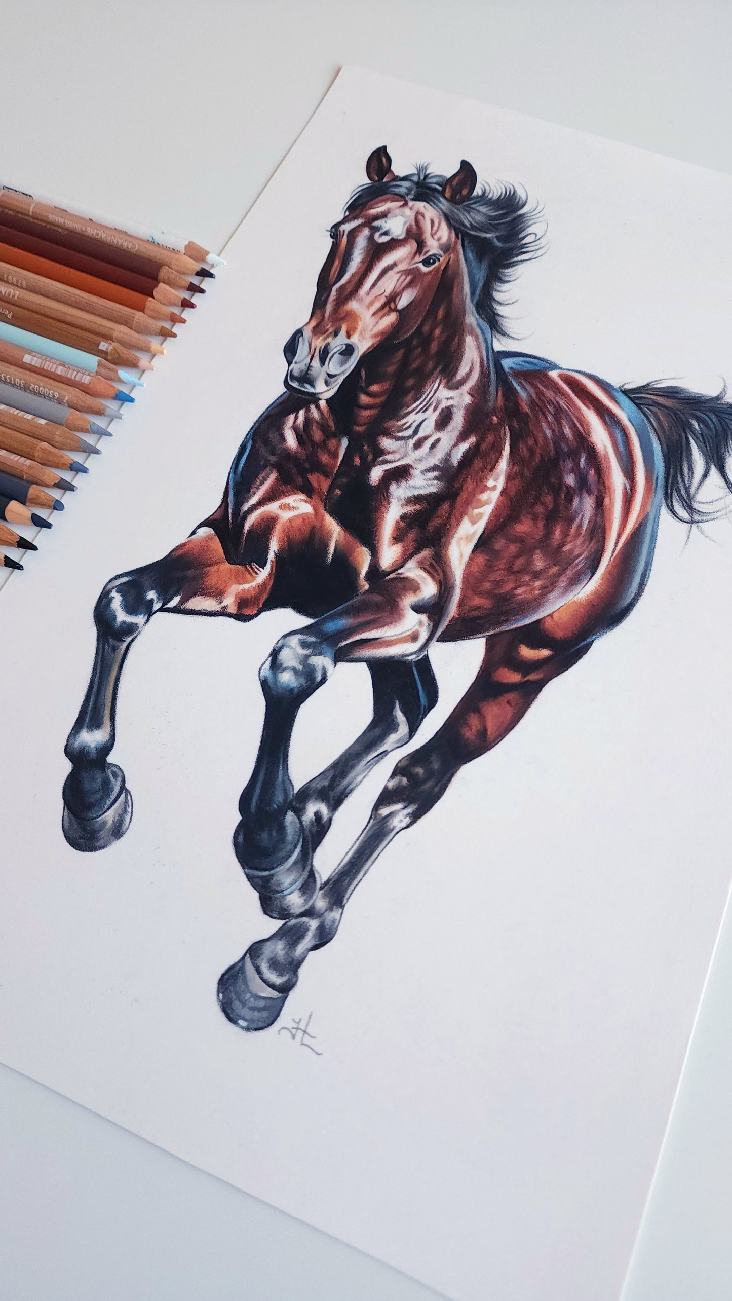 Running Horse Colored Pencil Drawing