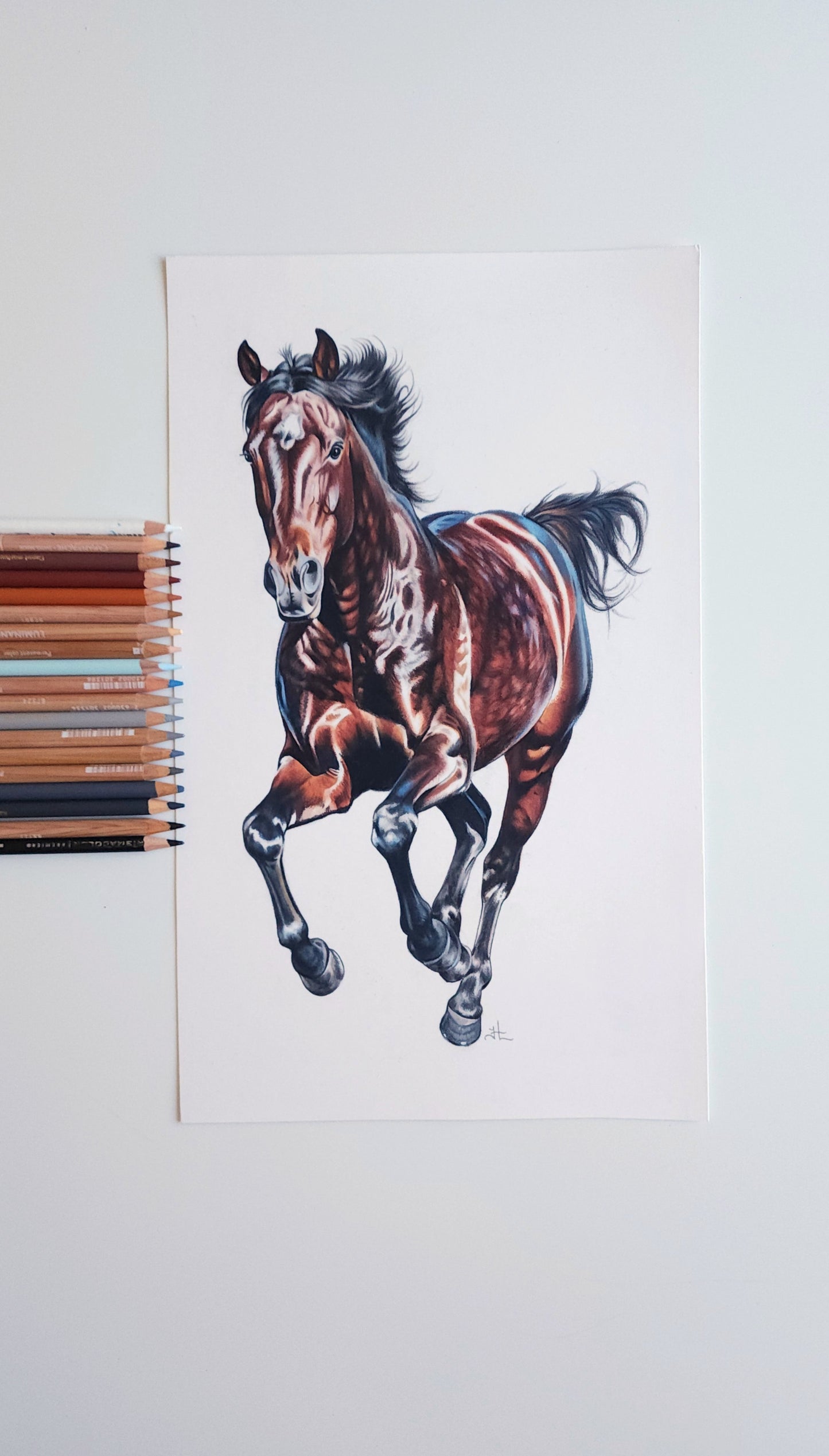 Running Horse Colored Pencil Drawing