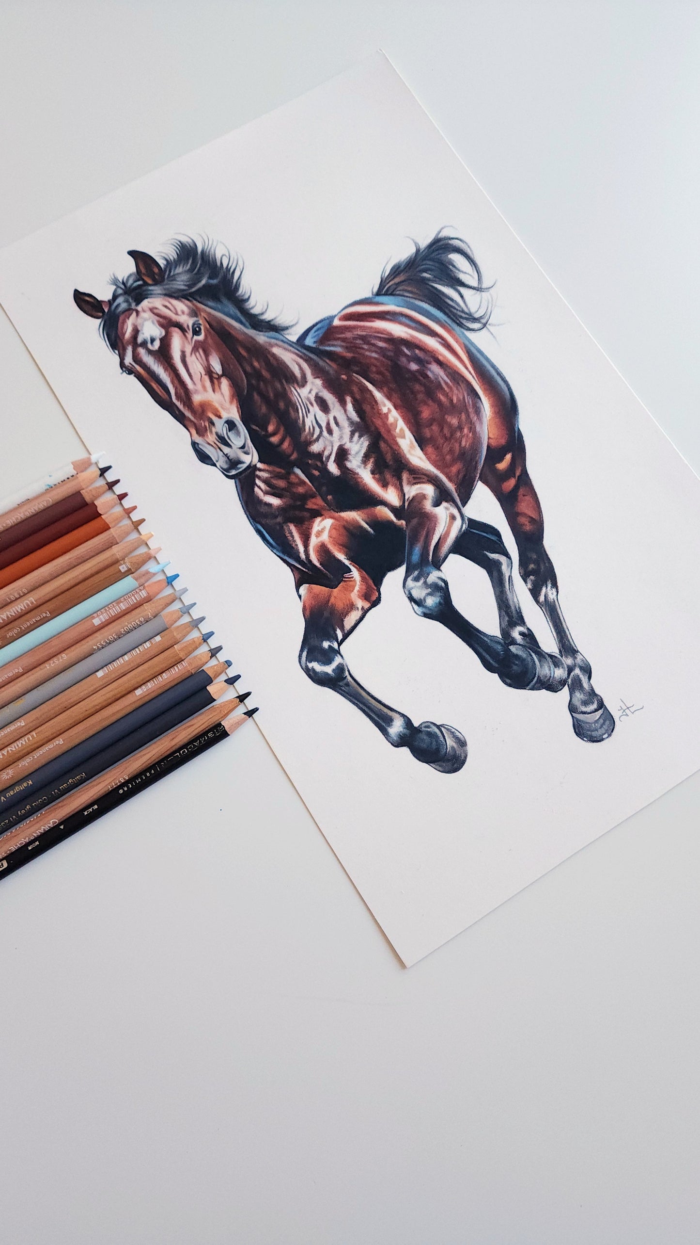 Running Horse Colored Pencil Drawing