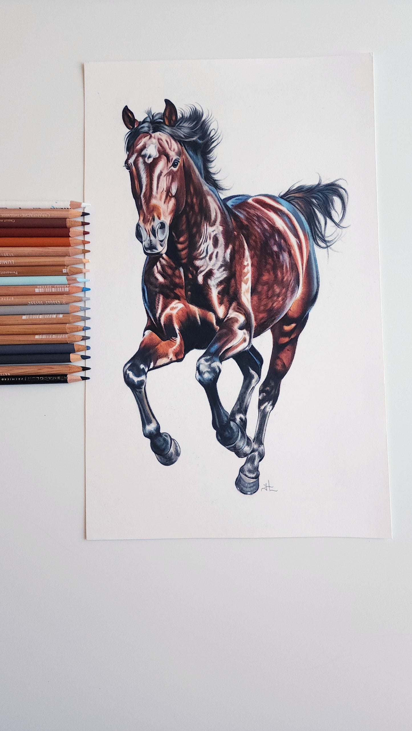 Running Horse Colored Pencil Drawing