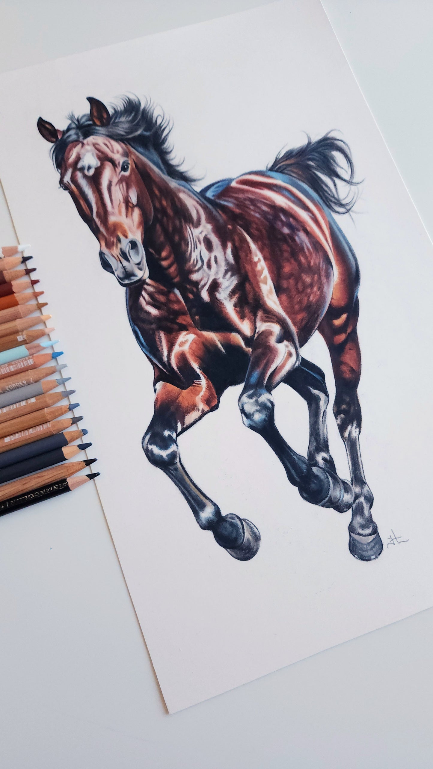 Running Horse Colored Pencil Drawing