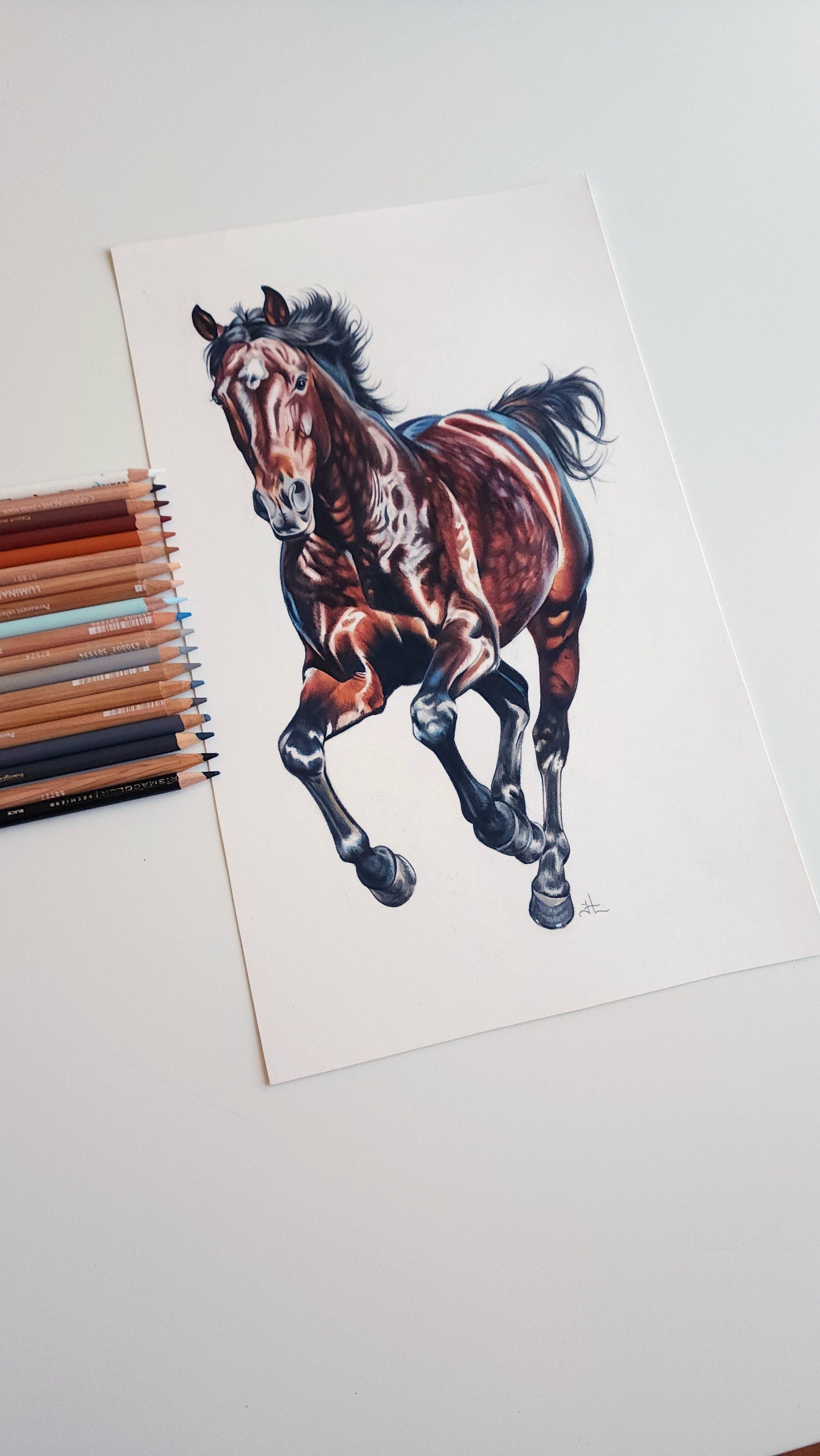 Running Horse Colored Pencil Drawing