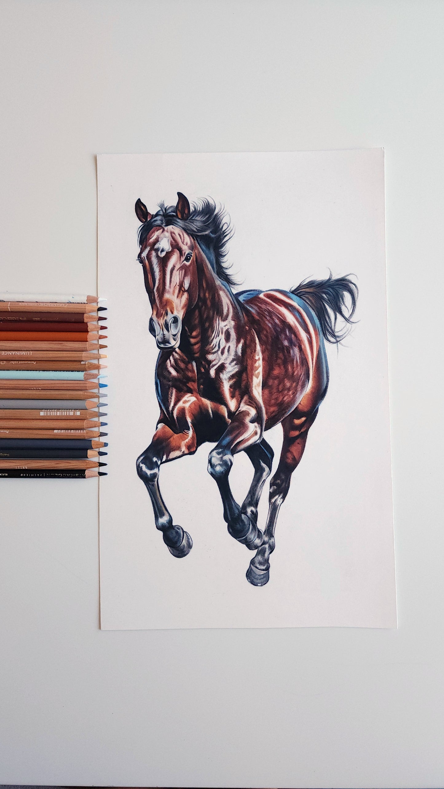 Running Horse Colored Pencil Drawing