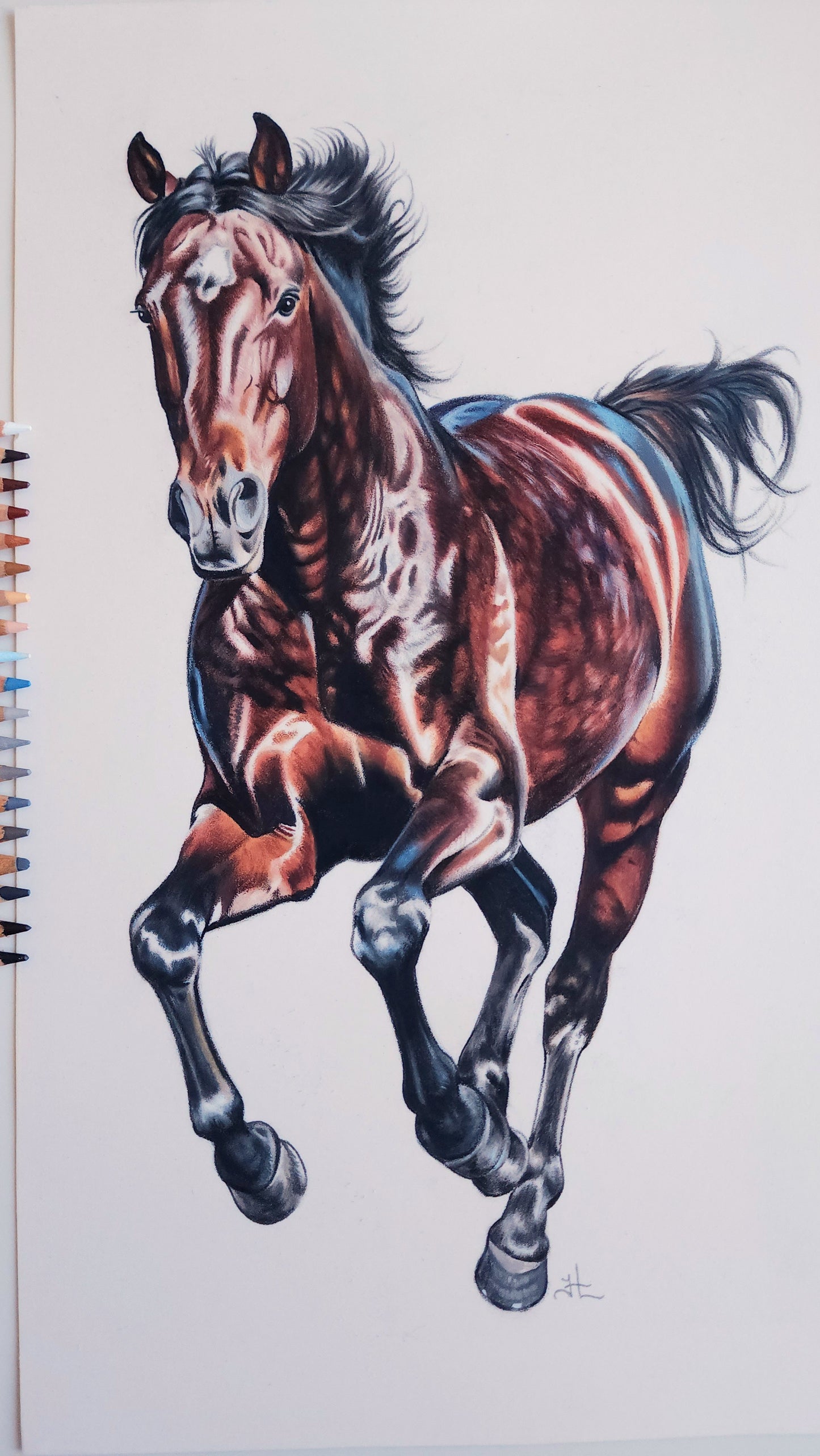 Running Horse Colored Pencil Drawing