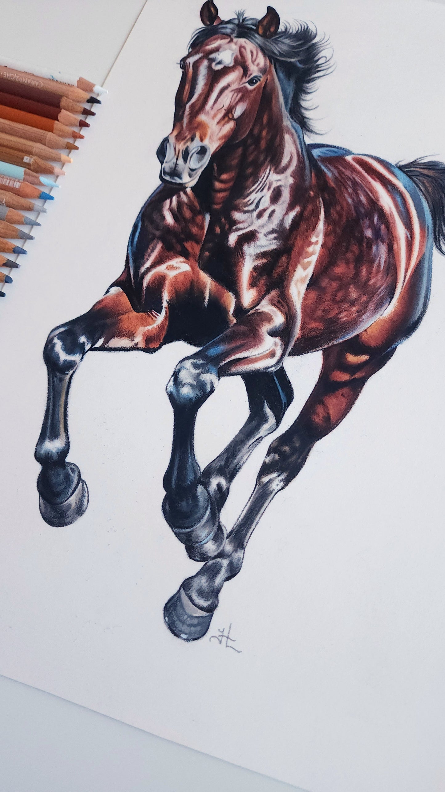 Running Horse Colored Pencil Drawing