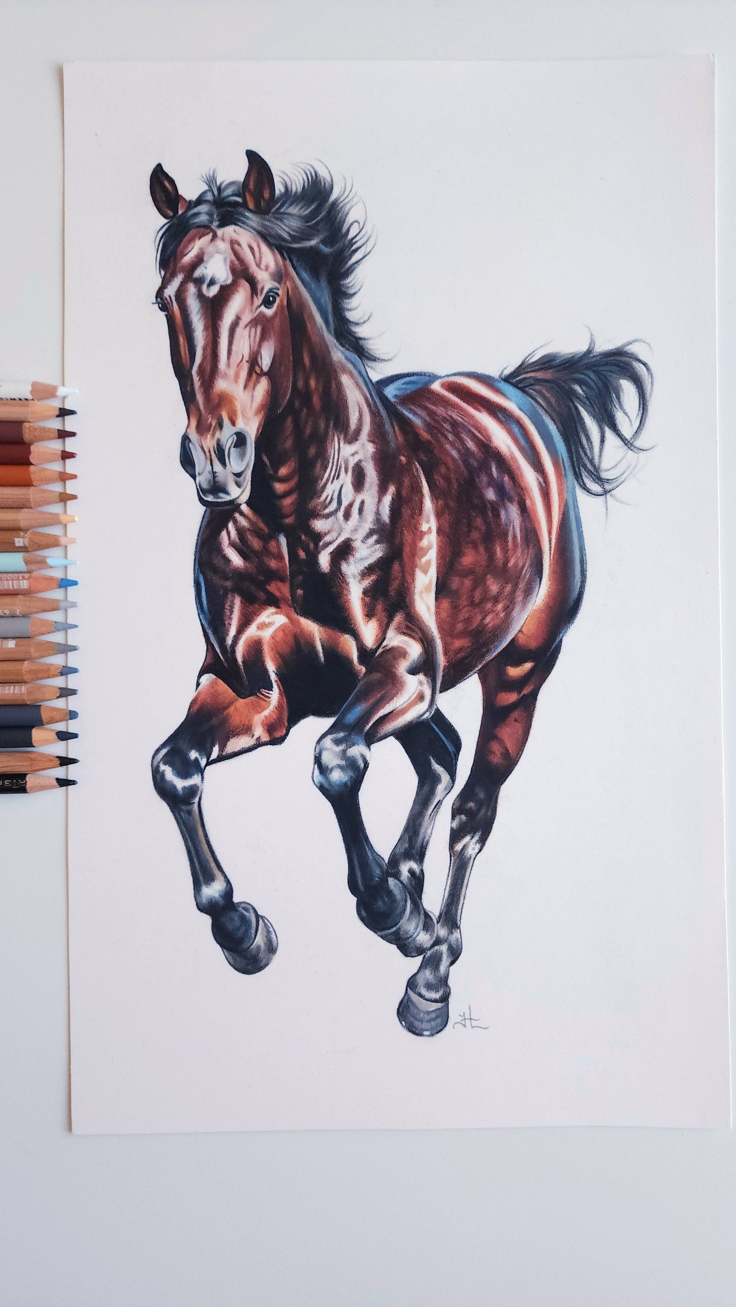 Running Horse Colored Pencil Drawing